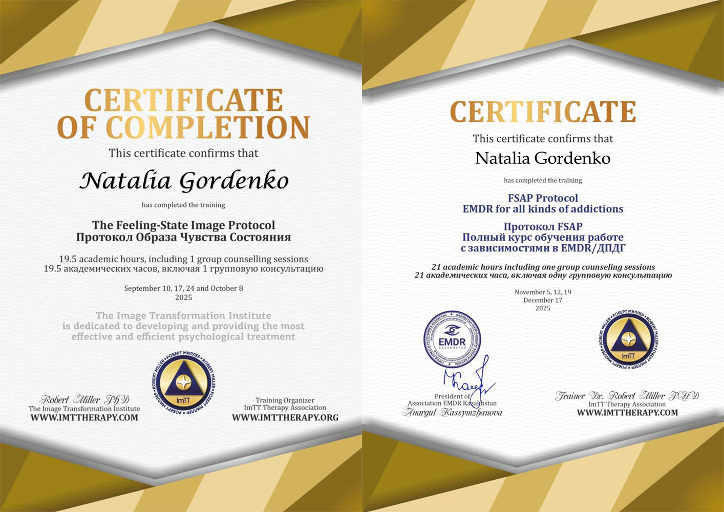 Протокол образа чувства состояния